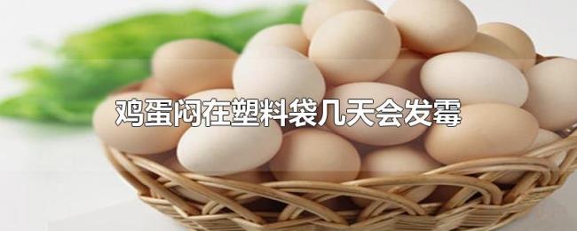 鸡蛋闷在塑料袋几天会发霉