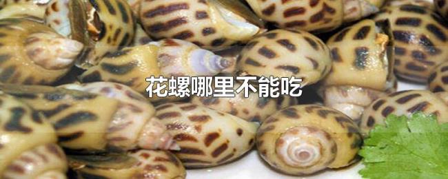 花螺哪里不能吃 花螺哪里不能吃
