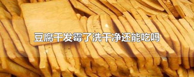 豆腐干发霉了洗干净还能吃吗 豆腐干发霉了洗干净还能吃吗