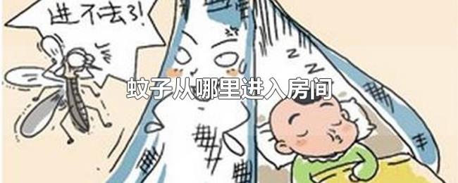 蚊子从哪里进入房间 蚊子从哪里进入房间