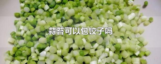 蒜苔可以包饺子吗 蒜苔可以包饺子吗