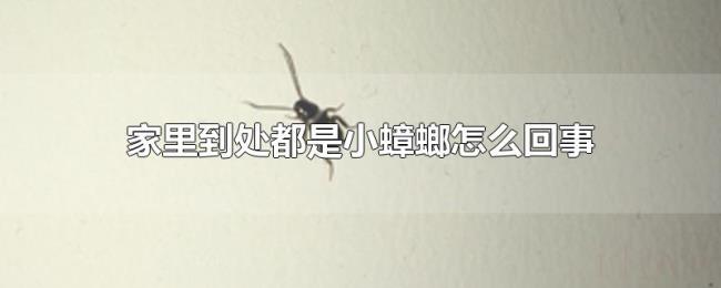 家里到处都是小蟑螂怎么回事 家里到处都是小蟑螂怎么回事
