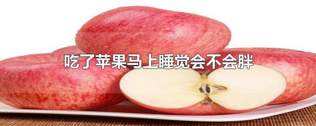 吃了苹果马上睡觉会不会胖 吃了苹果马上睡觉会不会胖