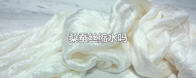 桑蚕丝缩水吗 桑蚕丝缩水吗