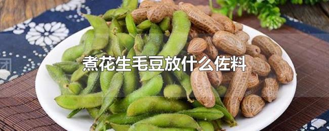 煮花生毛豆放什么佐料