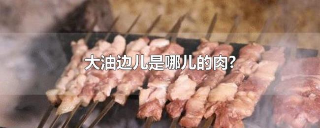大油边儿是哪儿的肉? 大油边儿是哪儿的肉?