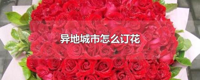 异地城市怎么订花 异地城市怎么订花