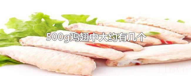 500g鸡翅中大约有几个 500g鸡翅中大约有几个