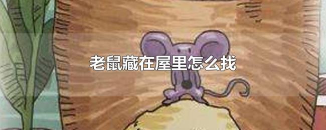 老鼠藏在屋里怎么找 老鼠藏在屋里怎么找