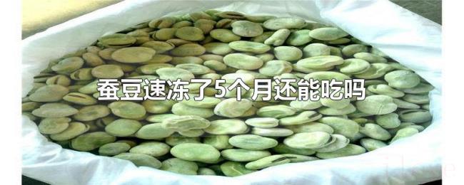 蚕豆速冻了5个月还能吃吗 蚕豆速冻了5个月还能吃吗