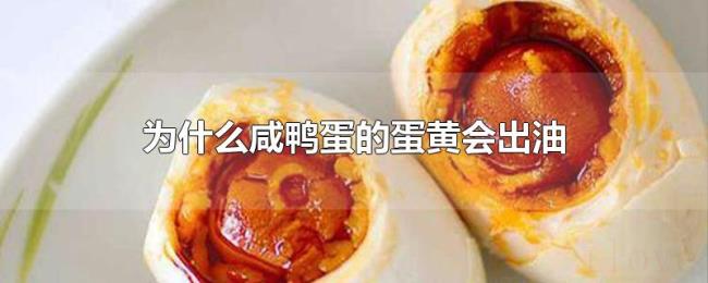 为什么咸鸭蛋的蛋黄会出油 为什么咸鸭蛋的蛋黄会出油