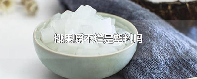 椰果嚼不烂是塑料吗 椰果嚼不烂是塑料吗