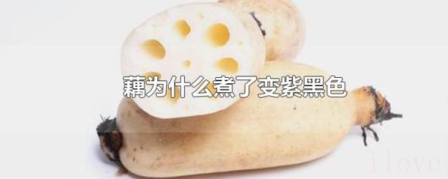 藕为什么煮了变紫黑色 藕为什么煮了变紫黑色
