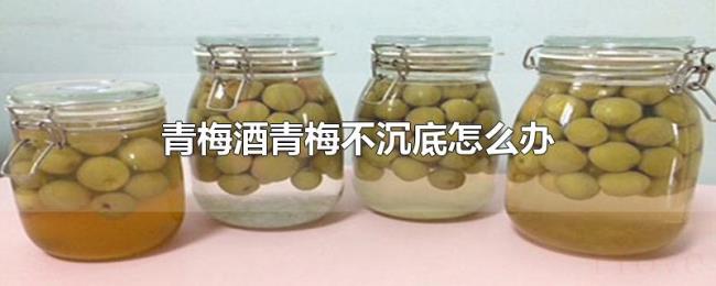 青梅酒青梅不沉底怎么办 青梅酒青梅不沉底怎么办