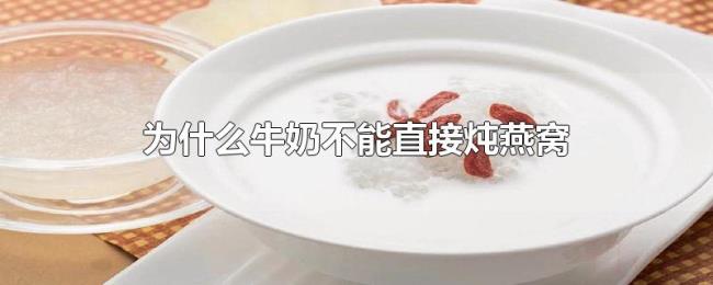 为什么牛奶不能直接炖燕窝 为什么牛奶不能直接炖燕窝