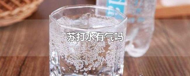 苏打水有气吗 苏打水有气吗