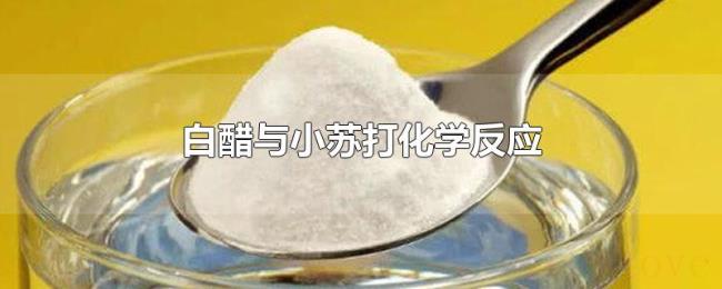 白醋与小苏打化学反应 白醋与小苏打化学反应