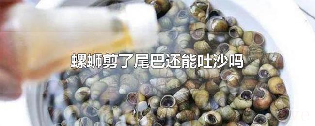 螺蛳剪了尾巴还能吐沙吗