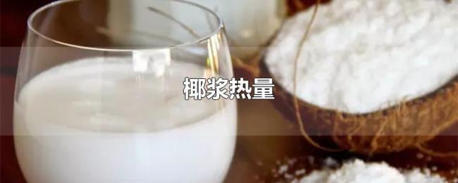 椰浆热量