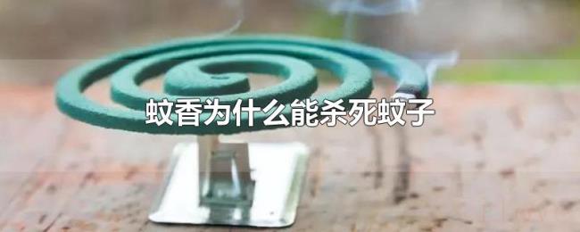 蚊香为什么能杀死蚊子