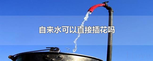 自来水可以直接插花吗 自来水可以直接插花吗