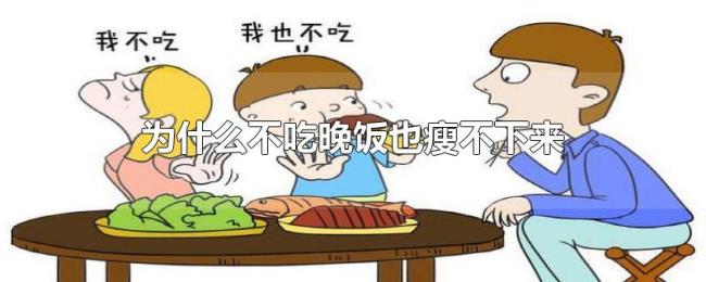 为什么不吃晚饭也瘦不下来 为什么不吃晚饭也瘦不下来