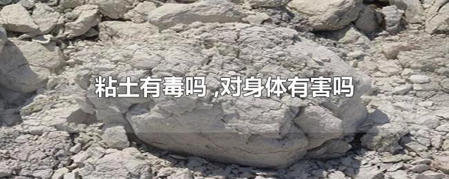 粘土有毒吗（,对身体有害吗）