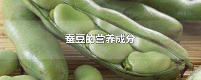 蚕豆的营养成分 蚕豆的营养成分