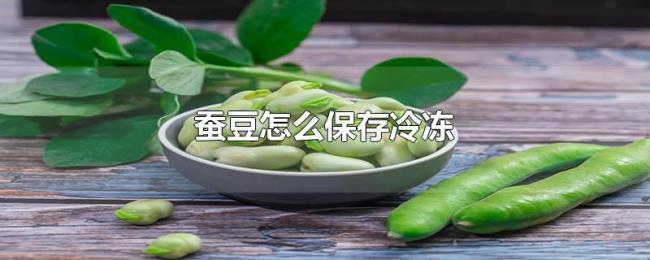 蚕豆怎么保存冷冻 蚕豆怎么保存冷冻