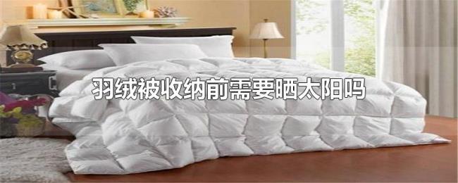 羽绒被收纳前需要晒太阳吗 羽绒被收纳前需要晒太阳吗
