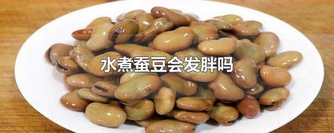 水煮蚕豆会发胖吗 水煮蚕豆会发胖吗