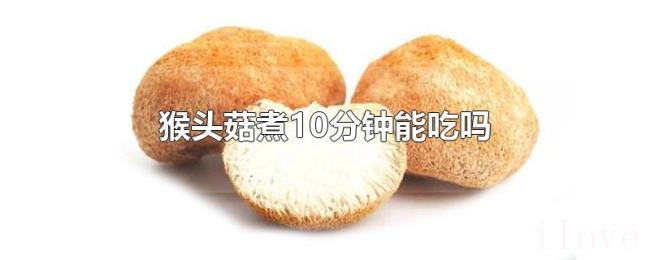 猴头菇煮10分钟能吃吗 猴头菇煮10分钟能吃吗