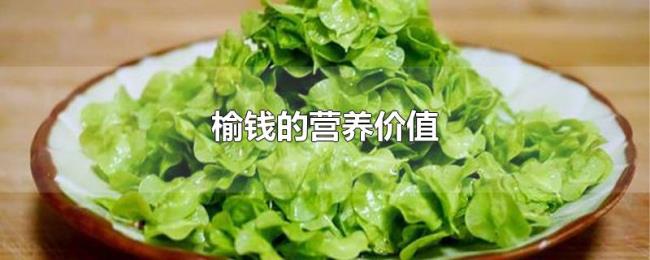 榆钱的营养价值 榆钱的营养价值