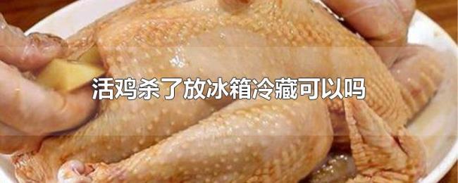活鸡杀了放冰箱冷藏可以吗