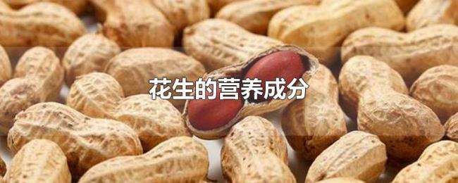 花生的营养成分 花生的营养成分