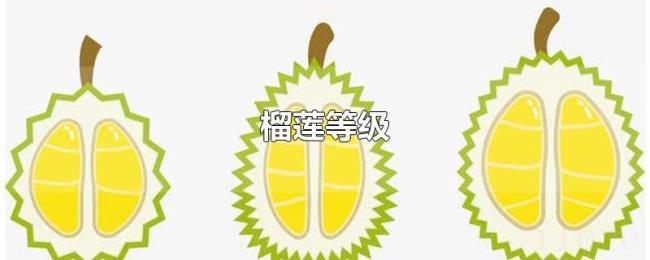 榴莲等级