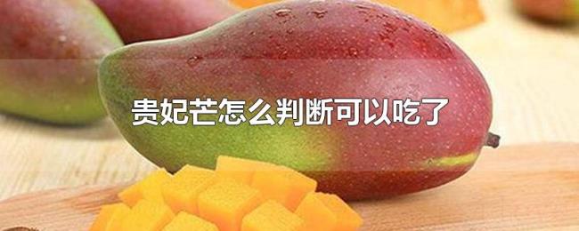 贵妃芒怎么判断可以吃了