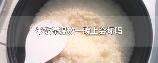 米饭常温放一晚上会坏吗