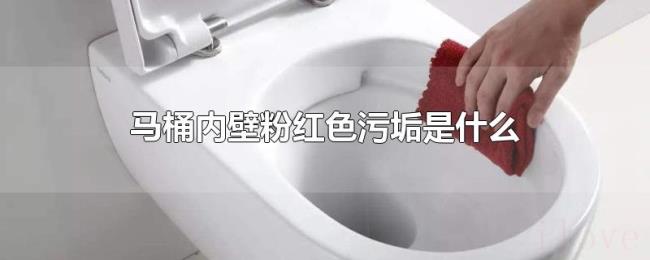 马桶内壁粉红色污垢是什么 马桶内壁粉红色污垢是什么