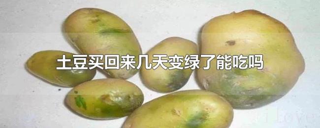 土豆买回来几天变绿了能吃吗