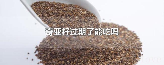 奇亚籽过期了能吃吗 奇亚籽过期了能吃吗