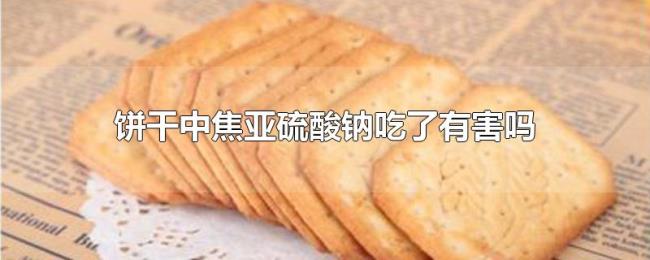 饼干中焦亚硫酸钠吃了有害吗 饼干中焦亚硫酸钠吃了有害吗