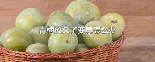 青梅放久了变黄怎么办 青梅放久了变黄怎么办