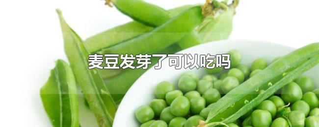 麦豆发芽了可以吃吗 麦豆发芽了可以吃吗