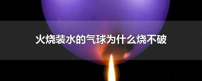 火烧装水的气球为什么烧不破