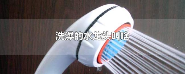 洗澡的水龙头叫啥 洗澡的水龙头叫啥