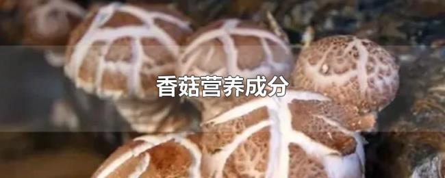 香菇营养成分 香菇营养成分