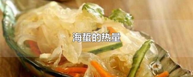 海蜇的热量