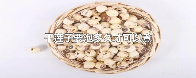 干莲子要泡多久才可以煮