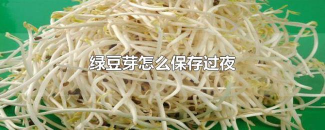 绿豆芽怎么保存过夜